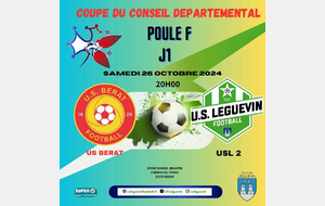 COUPE DU CONSEIL DEPARTEMENTAL